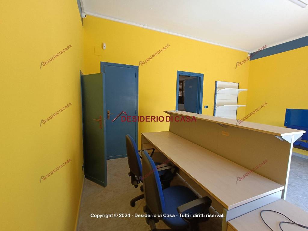 immagine annuncio 4 di 11