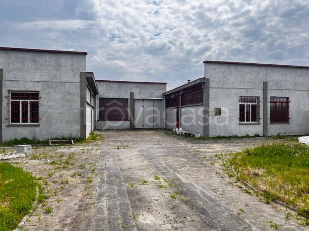 immagine annuncio 1 di 10