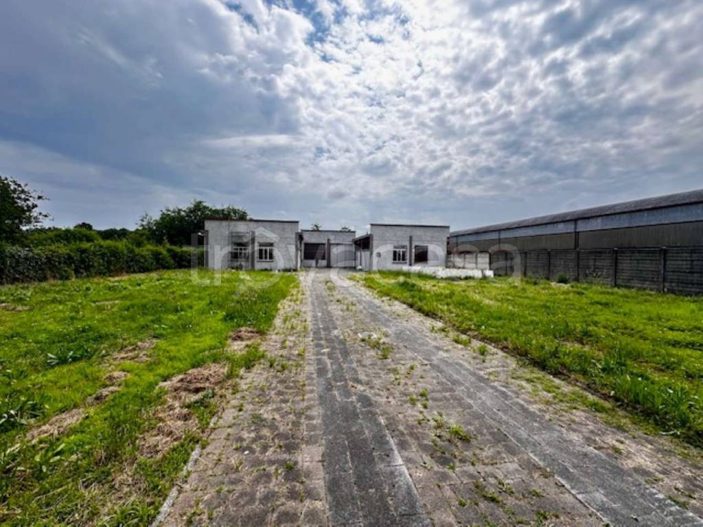 immagine annuncio 3 di 10