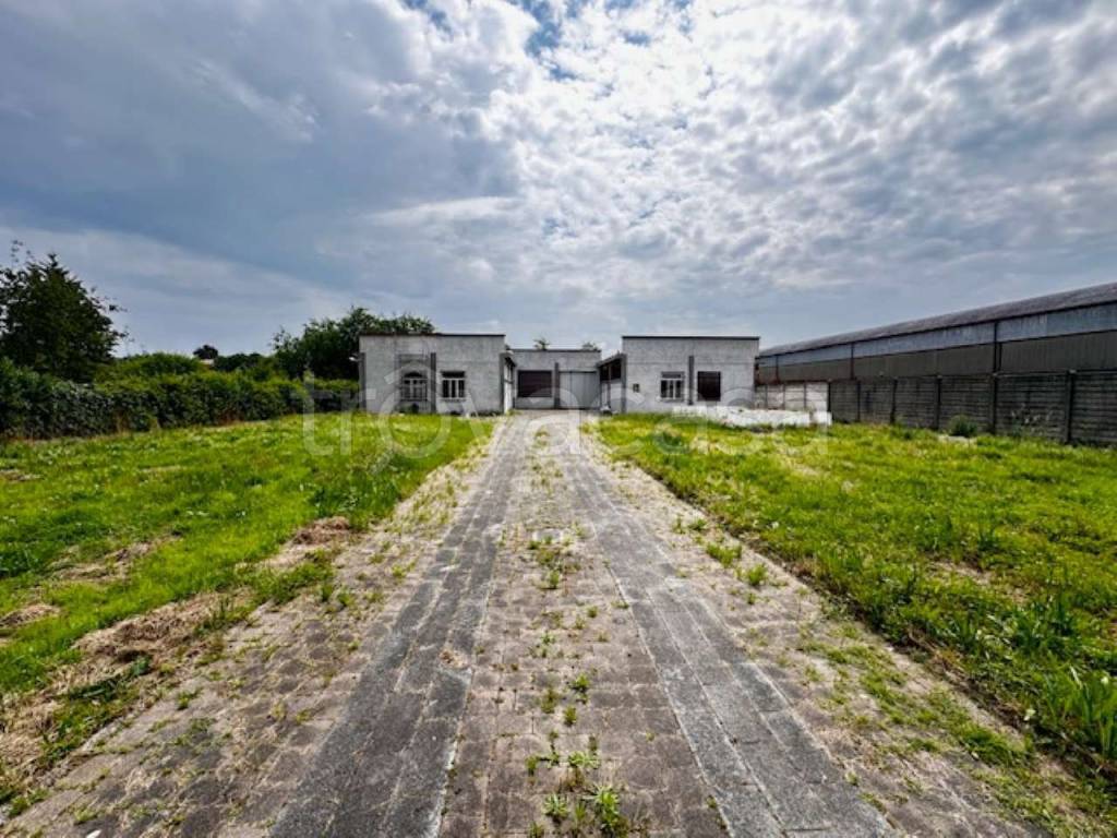 immagine annuncio 4 di 10