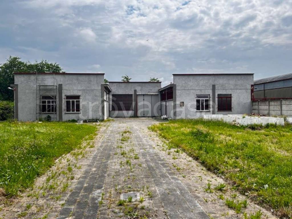 immagine annuncio 5 di 10