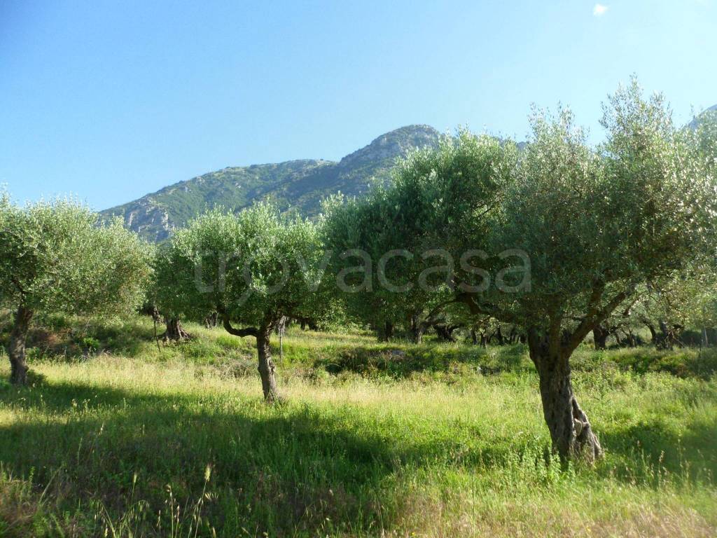 immagine annuncio 7 di 14