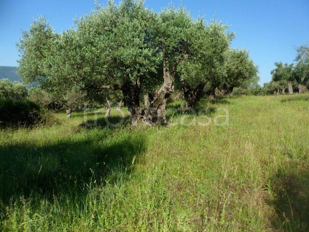 immagine annuncio 8 di 14