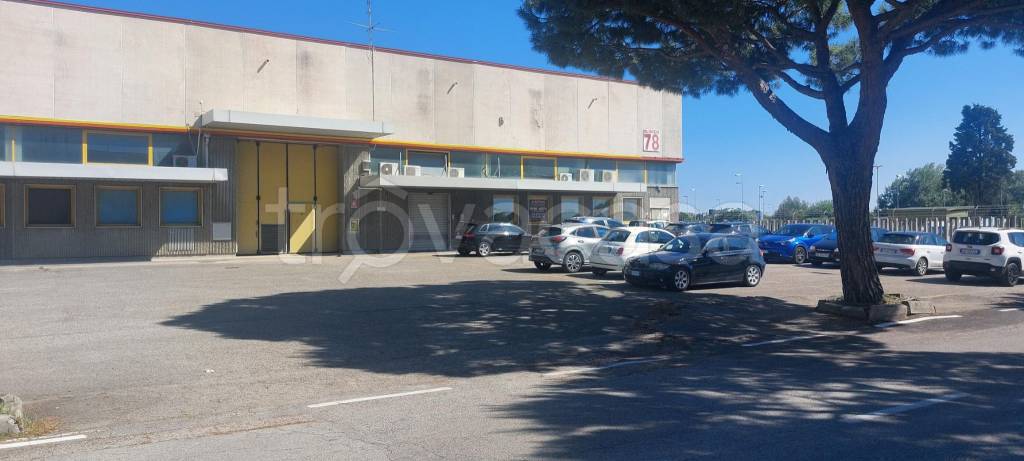 immagine annuncio 7 di 8