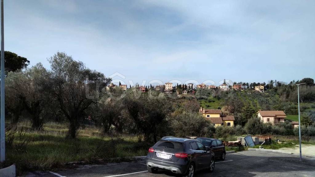 immagine annuncio 4 di 9