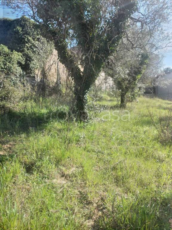 immagine annuncio 8 di 9