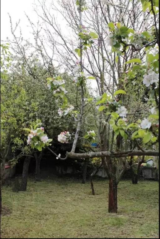 immagine annuncio 1 di 6