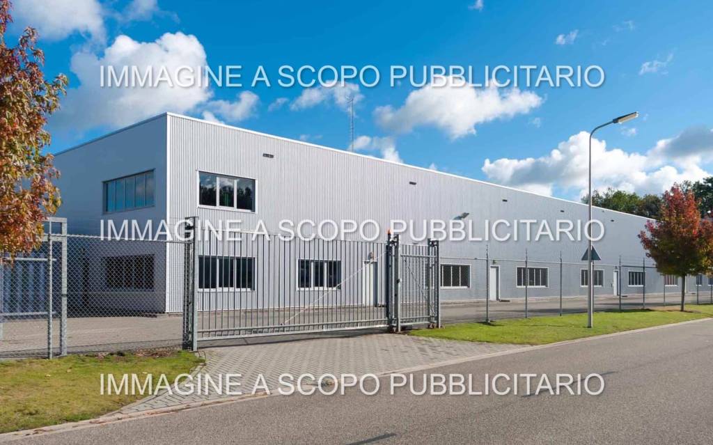 immagine annuncio 3 di 10
