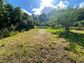 Terreno agricolo in vendita a viterbo strada querciaiolo