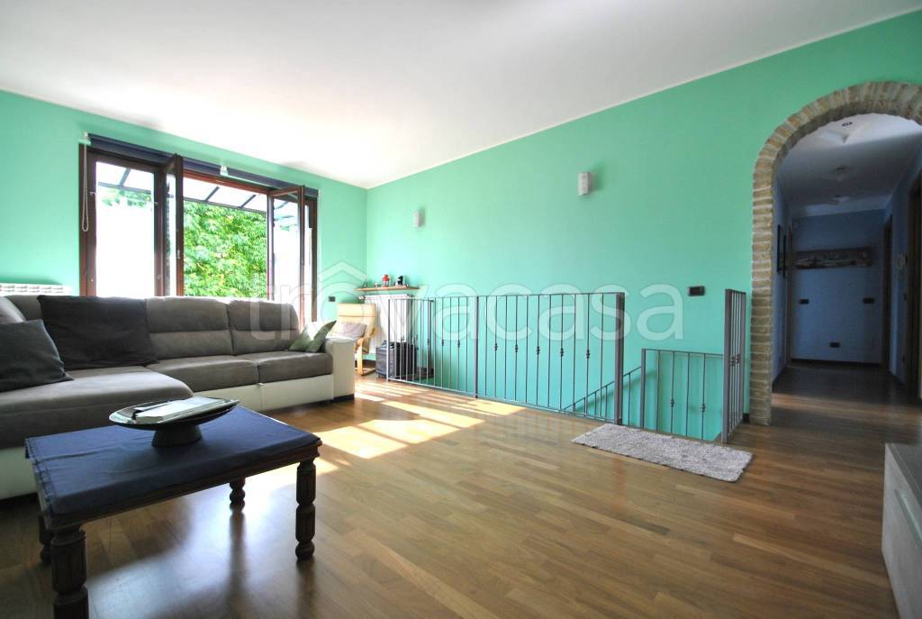 immagine annuncio 11 di 15