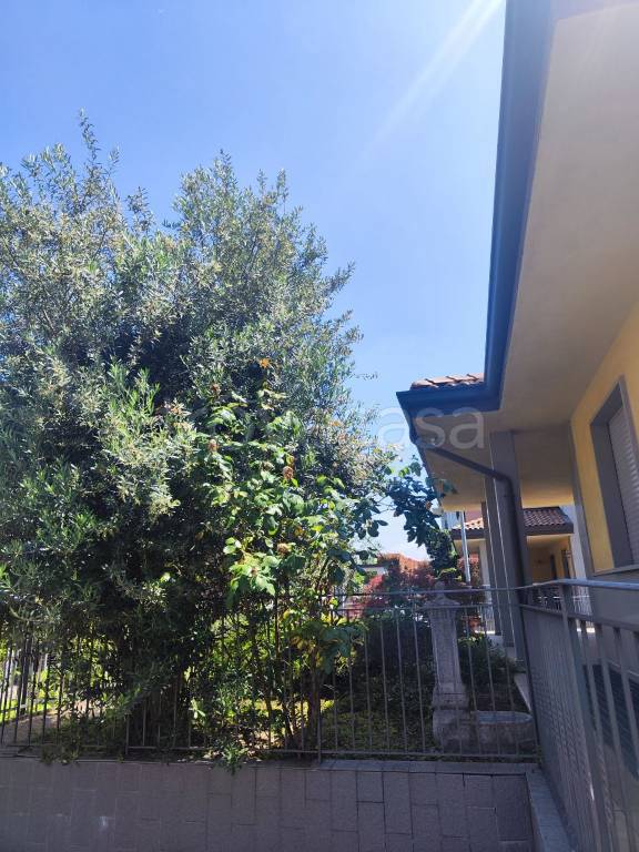 immagine annuncio 9 di 15