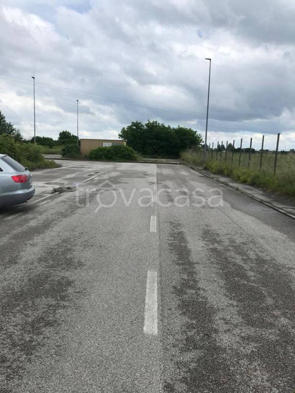 immagine annuncio 3 di 14