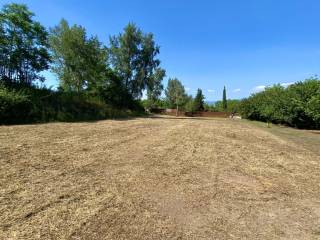 Terreno agricolo in vendita a saviano 