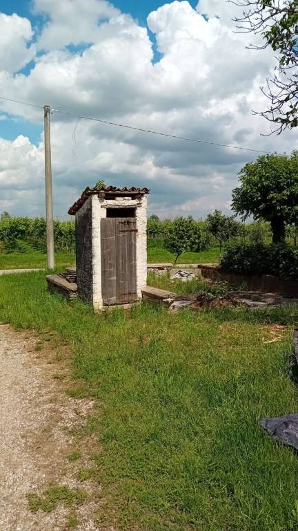 immagine annuncio 2 di 7