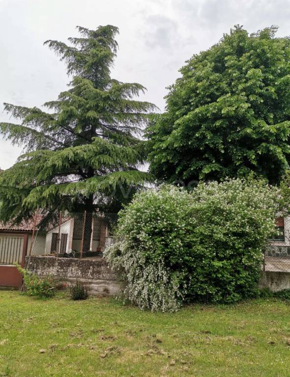 immagine annuncio 6 di 8
