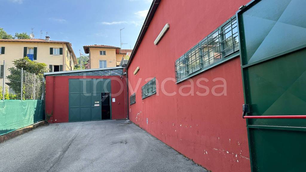 immagine annuncio 5 di 12