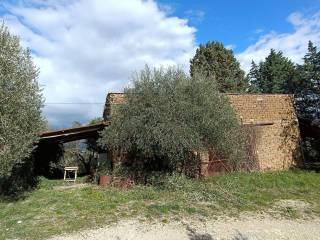 Terreno agricolo in affitto a narni località sant'urbano s.n.c.