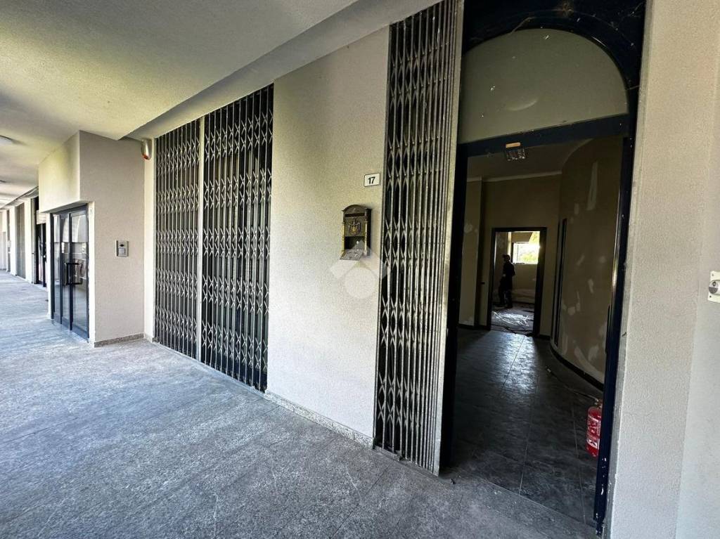 immagine annuncio 5 di 12