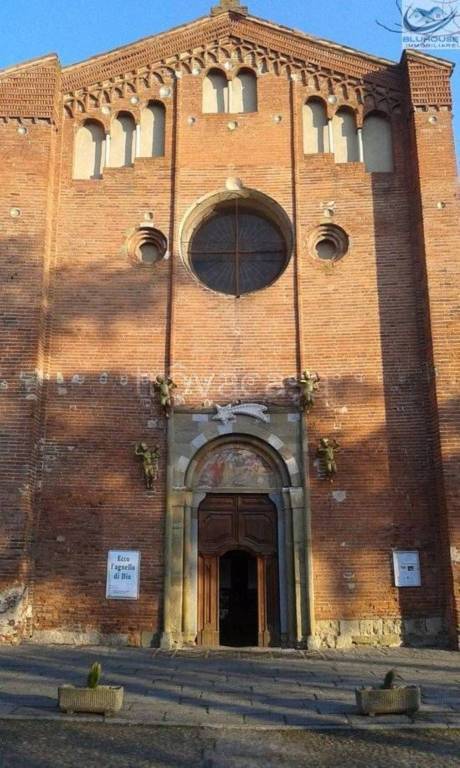 immagine annuncio 6 di 8