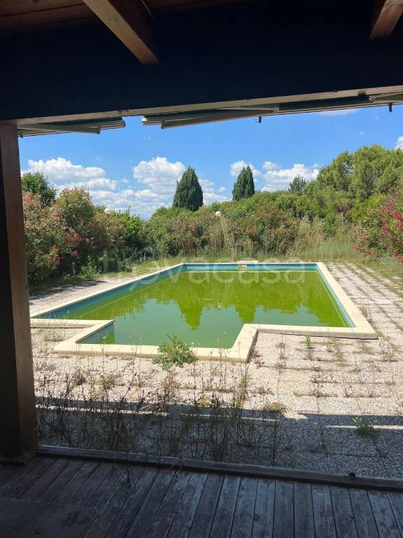 immagine annuncio 3 di 6