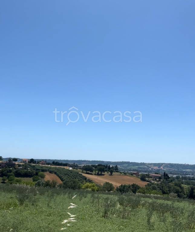immagine annuncio 4 di 6