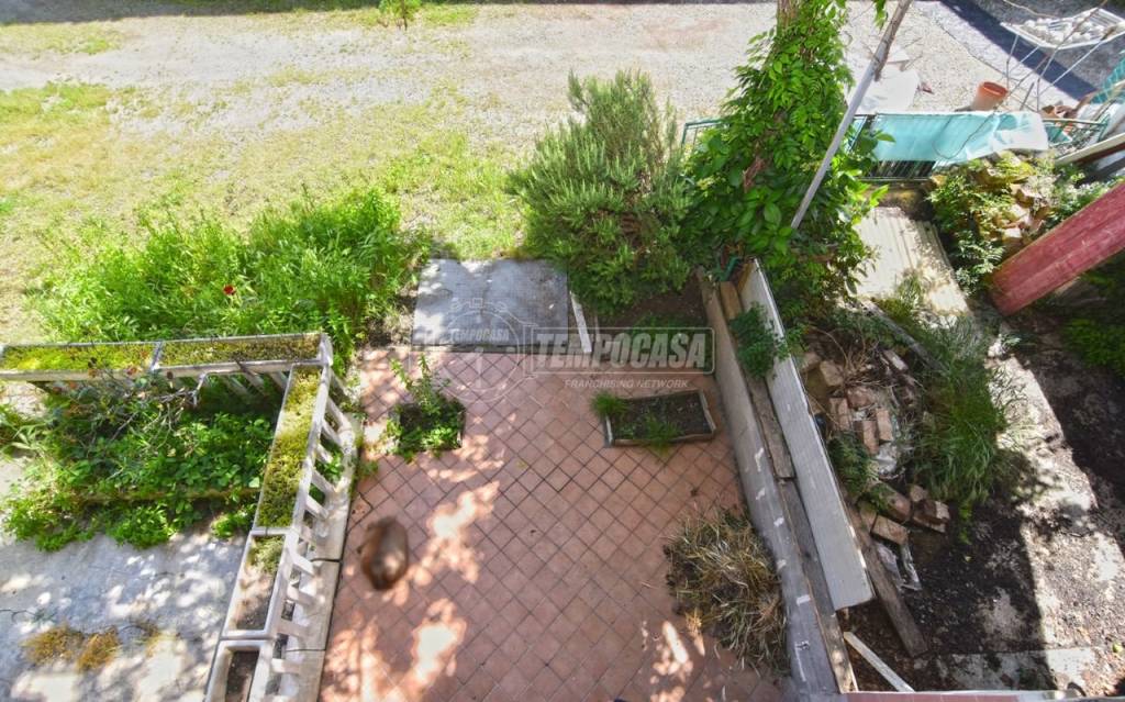 immagine annuncio 9 di 14