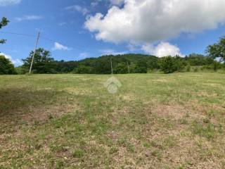 Terreno agricolo in vendita a nocera umbra via colsaino