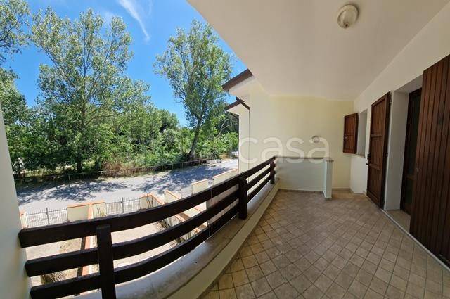 immagine annuncio 4 di 14