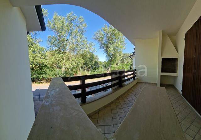 immagine annuncio 6 di 14