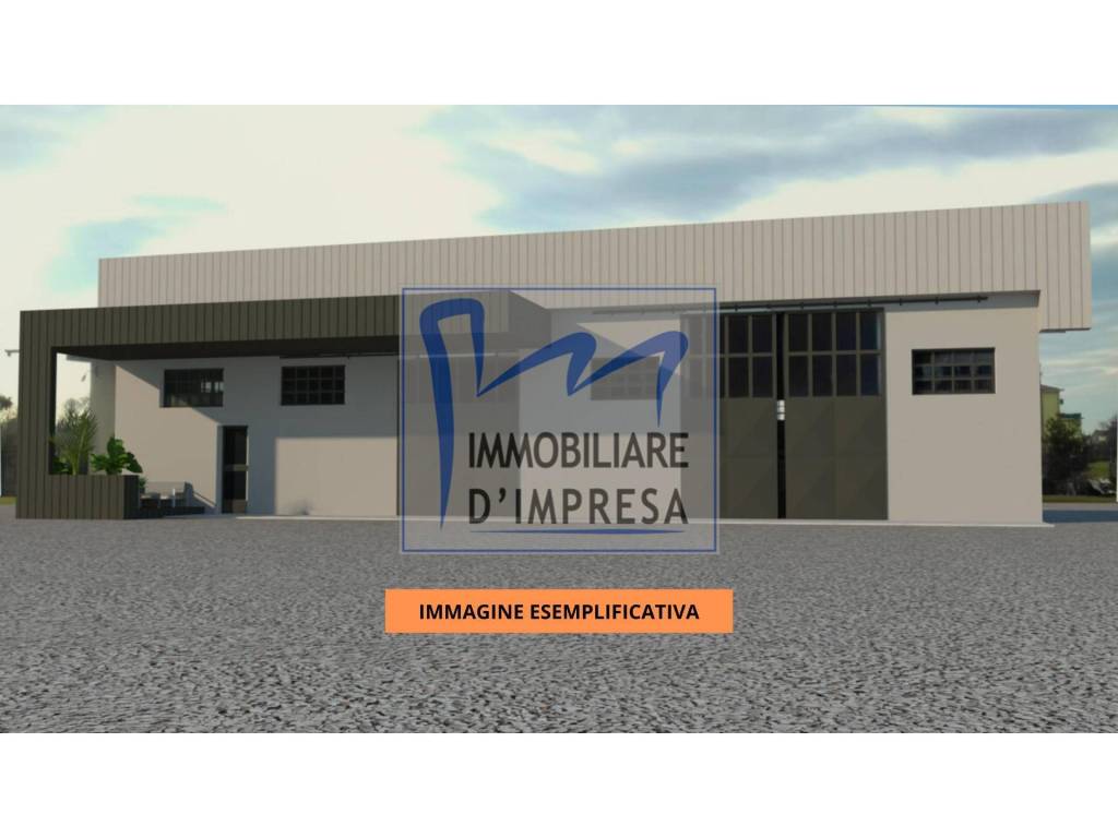 immagine annuncio 6 di 11