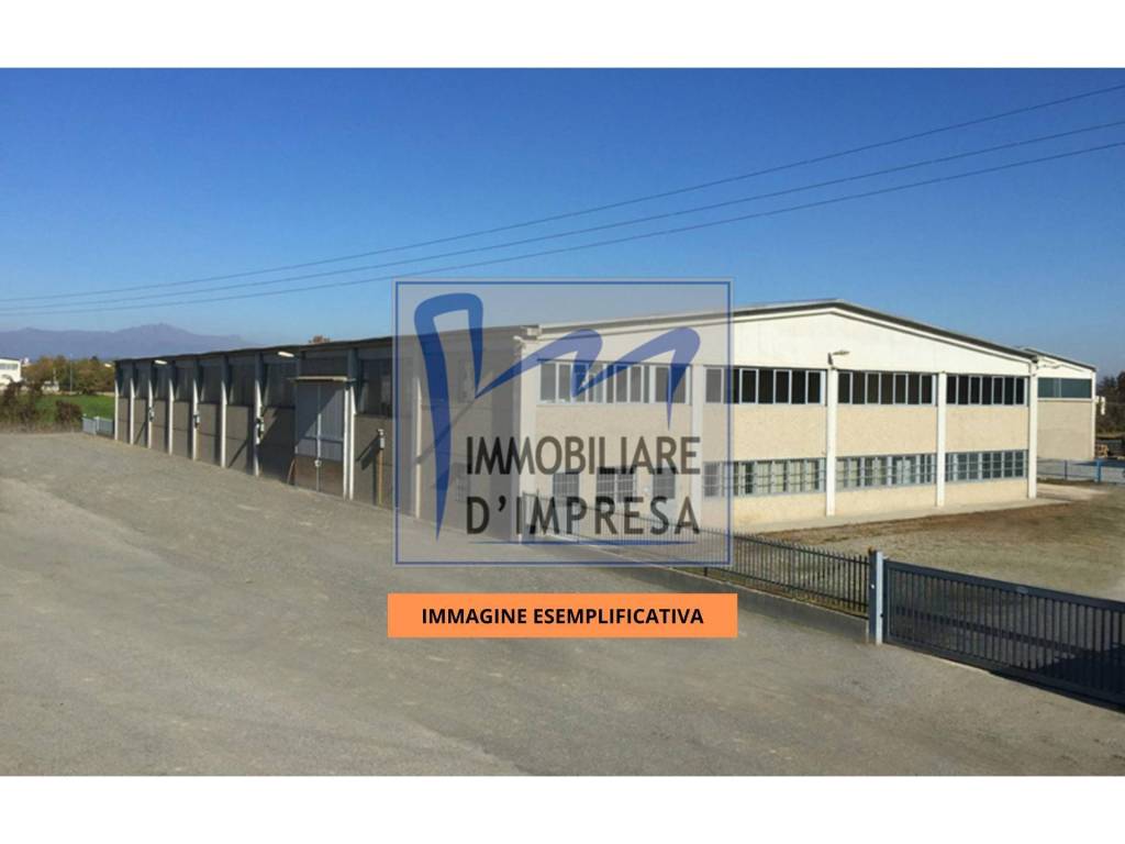 immagine annuncio 7 di 11