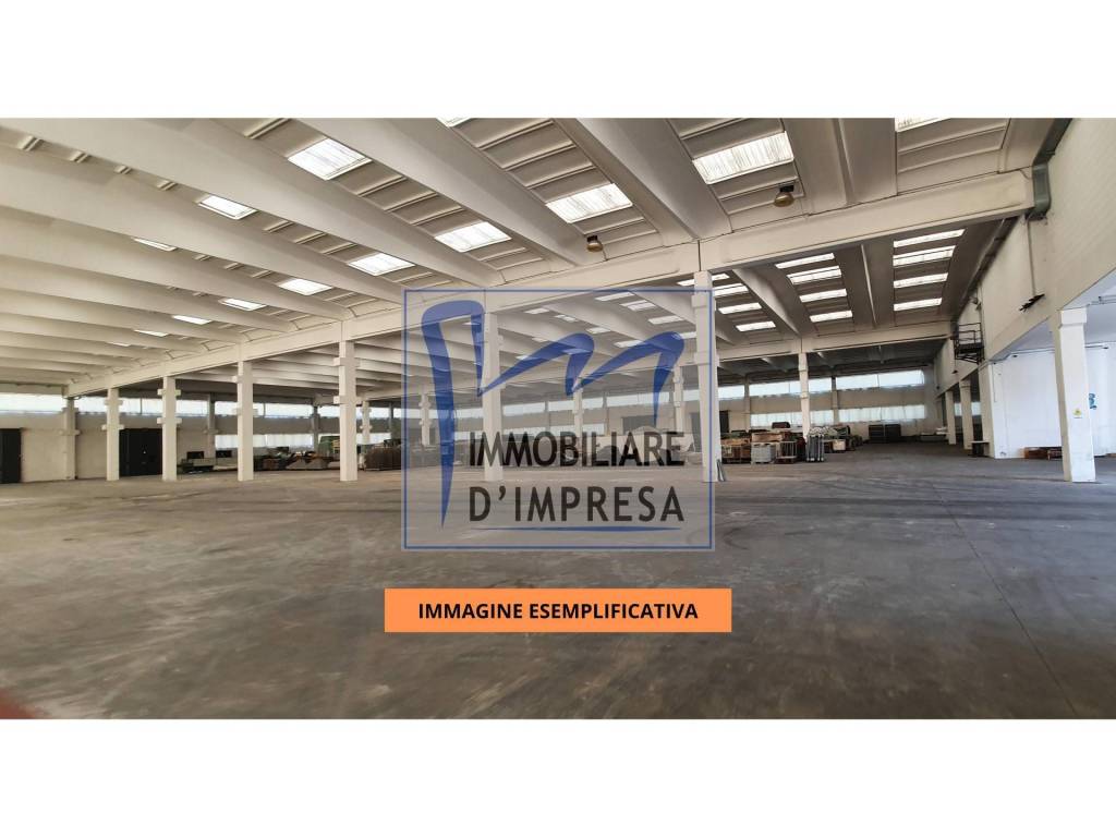 immagine annuncio 10 di 11