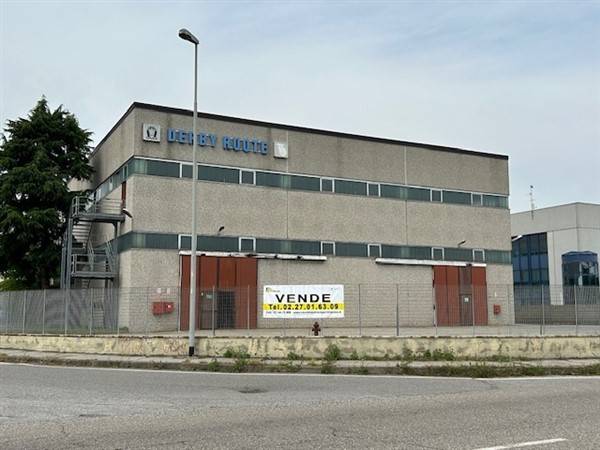 immagine annuncio 2 di 12