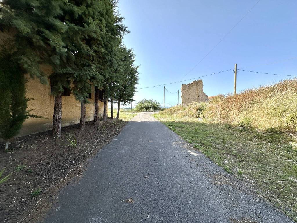 immagine annuncio 2 di 8