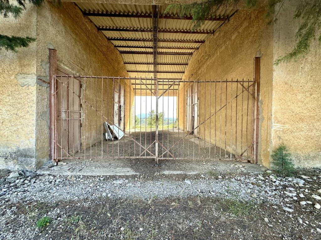 immagine annuncio 3 di 8