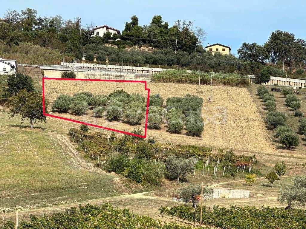 immagine annuncio 1 di 8