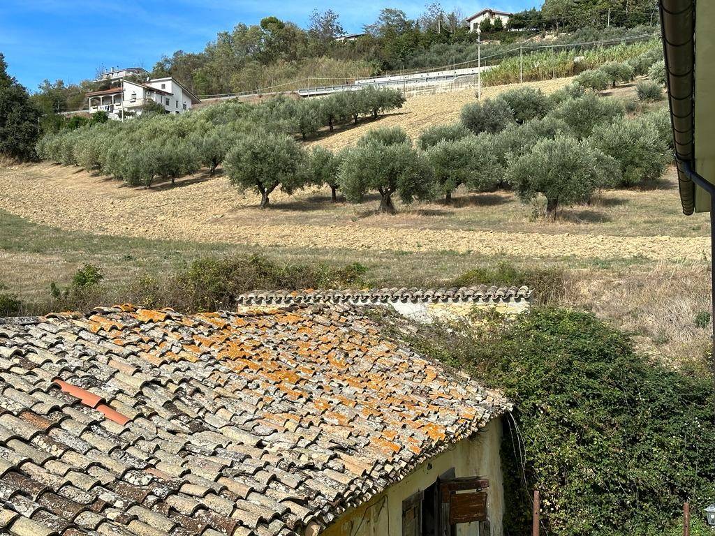 immagine annuncio 3 di 8