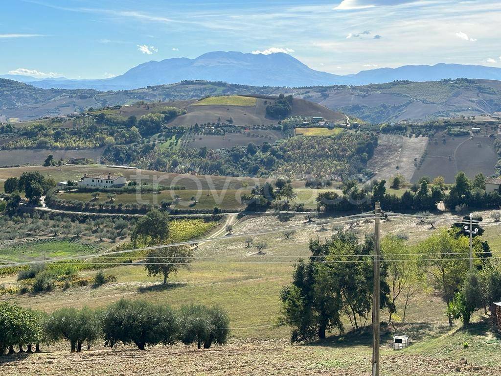 immagine annuncio 7 di 8