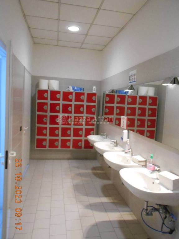 immagine annuncio 9 di 12