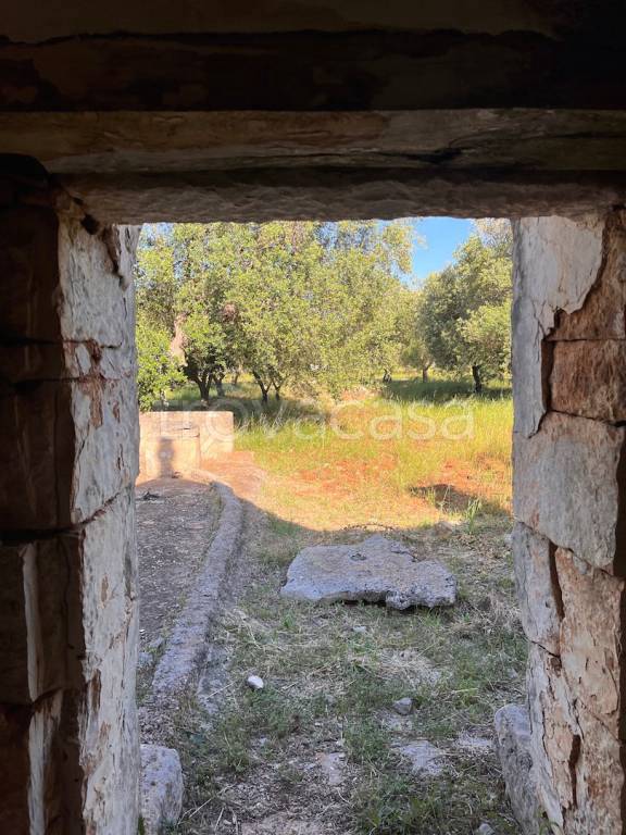 immagine annuncio 5 di 8
