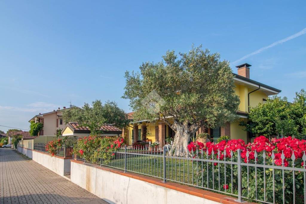 immagine annuncio 1 di 15