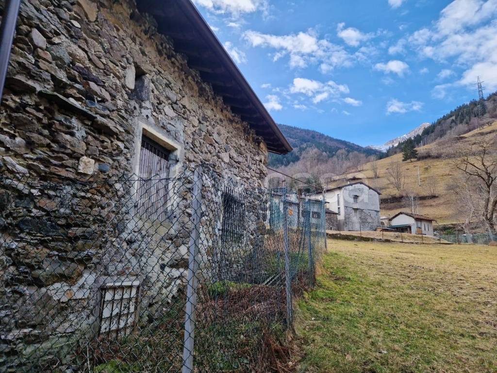 immagine annuncio 3 di 14