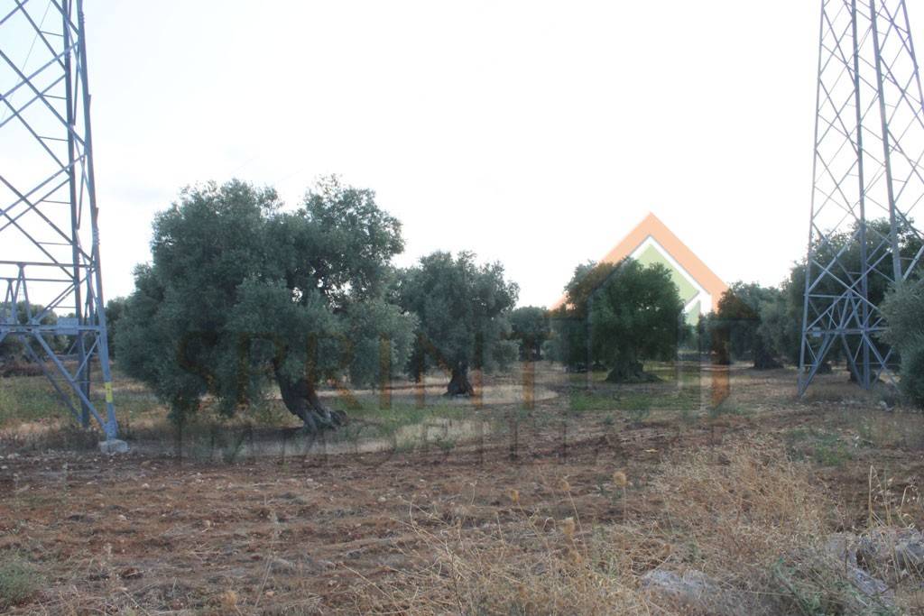 immagine annuncio 5 di 9
