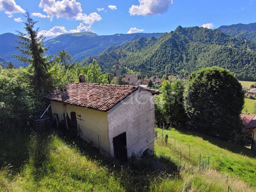 immagine annuncio 4 di 9