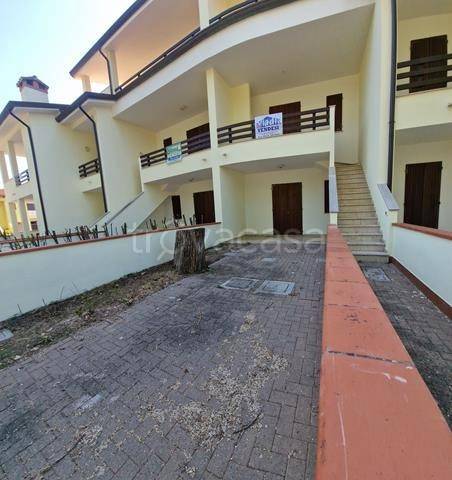 immagine annuncio 1 di 8