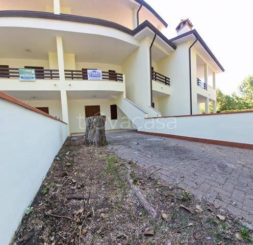 immagine annuncio 2 di 8