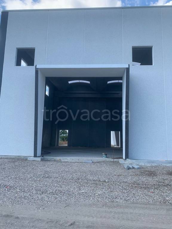 immagine annuncio 5 di 6