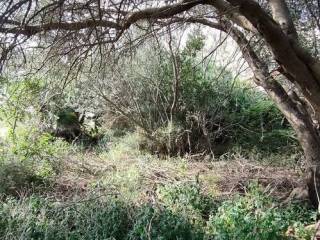 Terreno agricolo in vendita a palermo via omero, 37