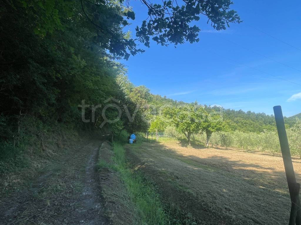 immagine annuncio 7 di 11