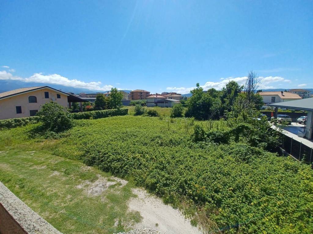 immagine annuncio 10 di 11